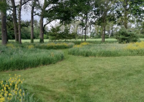 Buitenmeesters_Groene_Uitvoerders_Heeten_Tuininspiratie