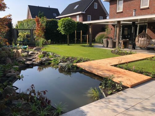 Bas Hoveniers